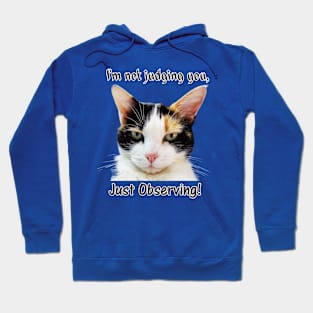 Cute Calico Cat with Attitude – Just Observing! Hoodie